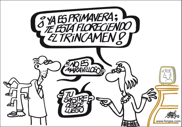 denuncia penal granada